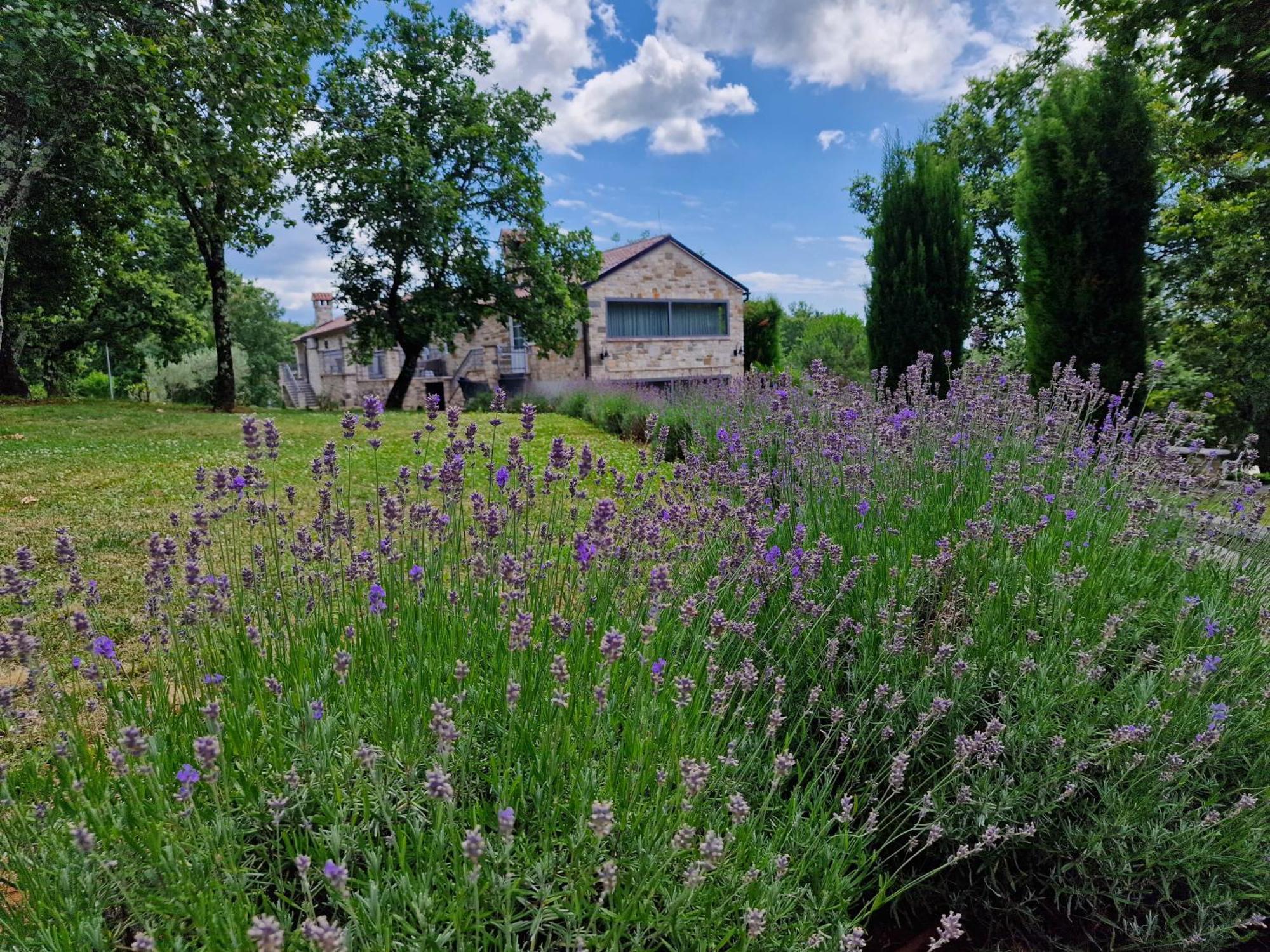 Bed and Breakfast Stancija Ruseti Oprtalj Exterior foto